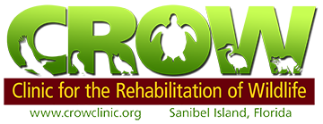 Clinic for the Rehabilitation of Wildlife