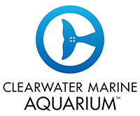 Clearwater Marine Aquarium